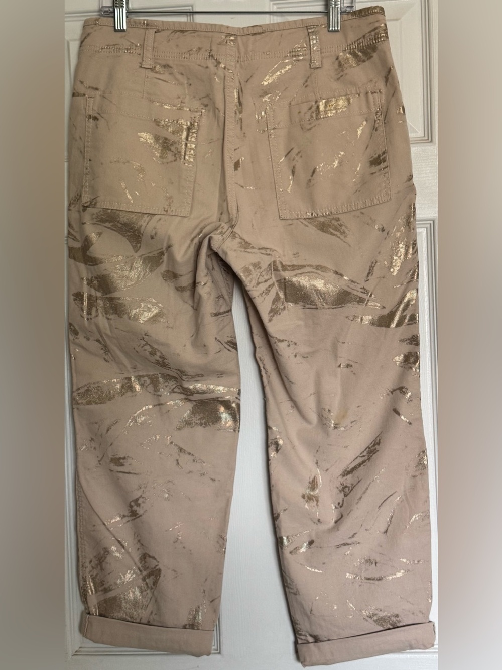 Anthropologie Beige Cargo Pants with Gold Foil Accents - Picture 2 of 10